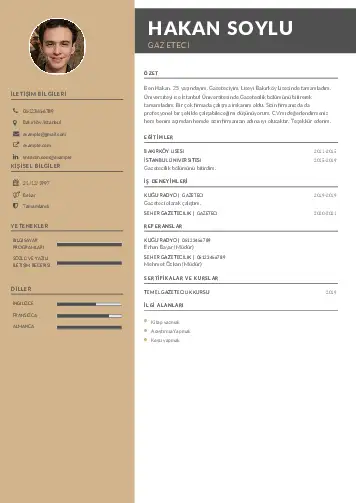 Gazeteci CV Örnekleri cv indir